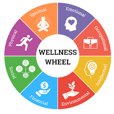 Mental Health & Wellness: A Guide to Thriving in a Fast-Paced World